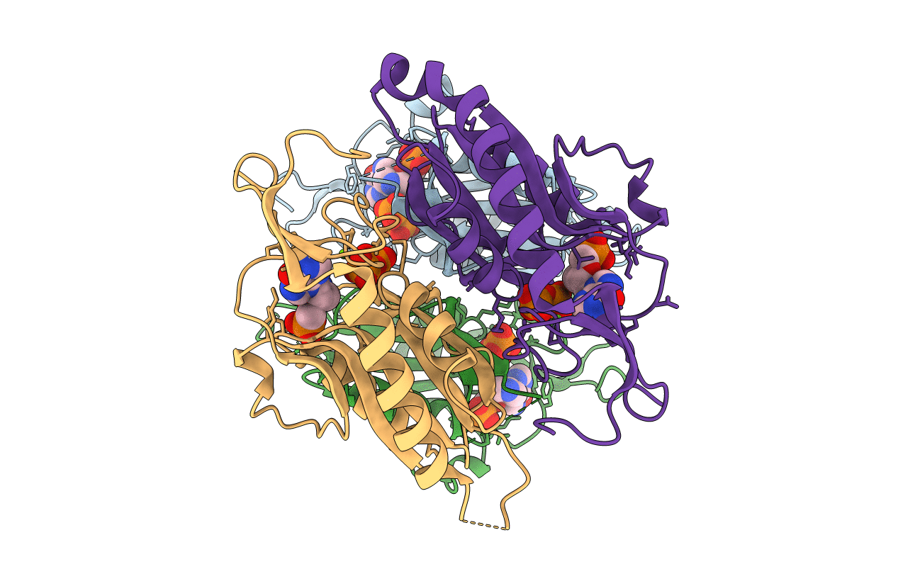 5KNP image