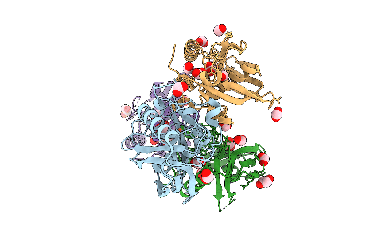 5KOB image
