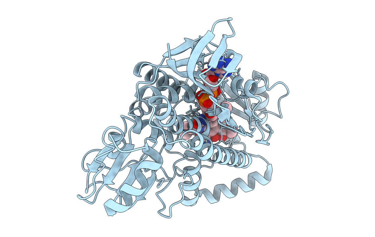 5KOX image