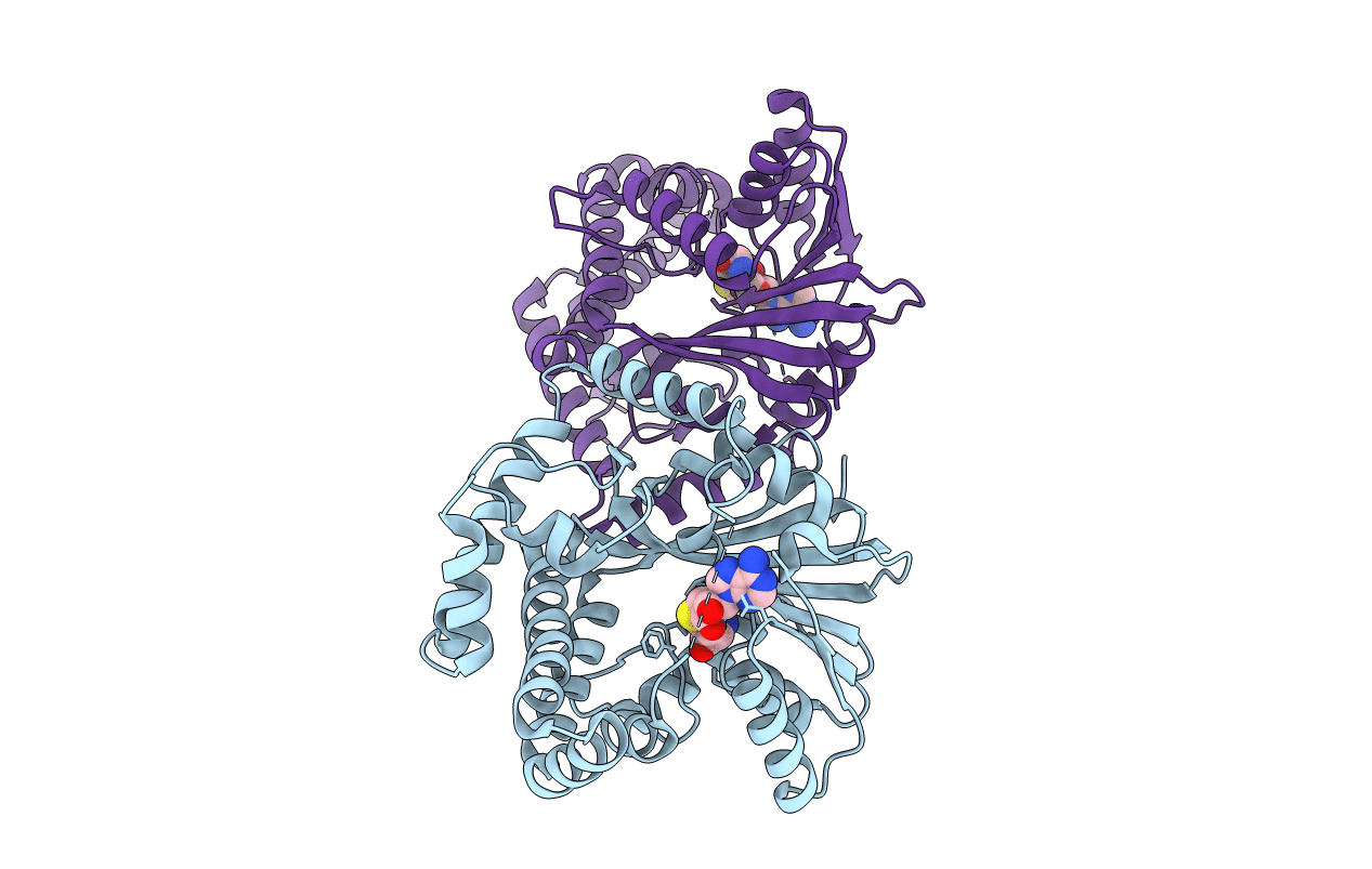 5KPG image