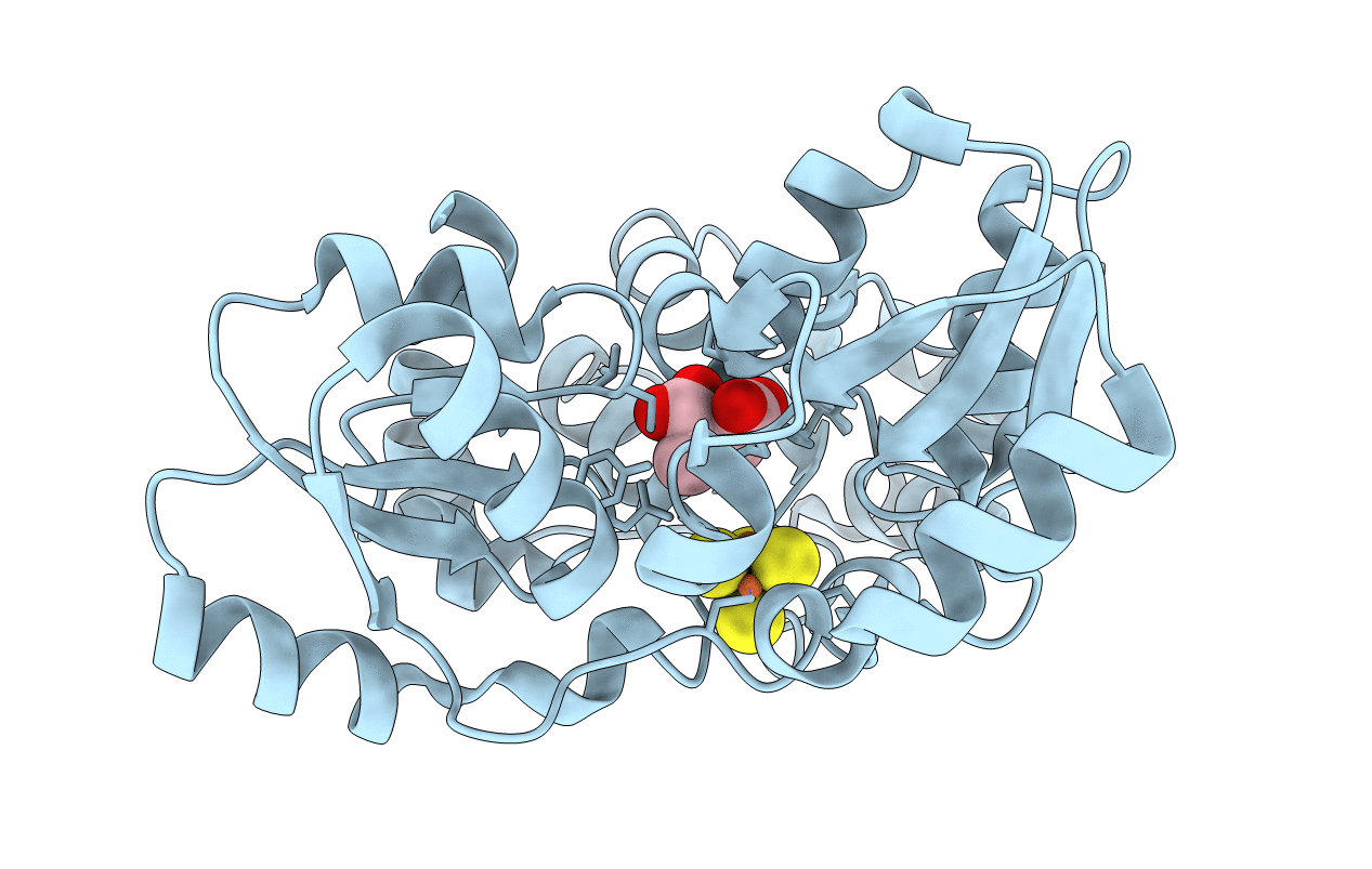 5KTP image