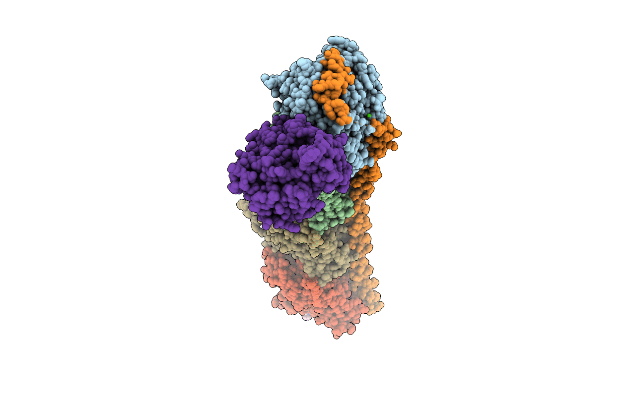 5KX5 image