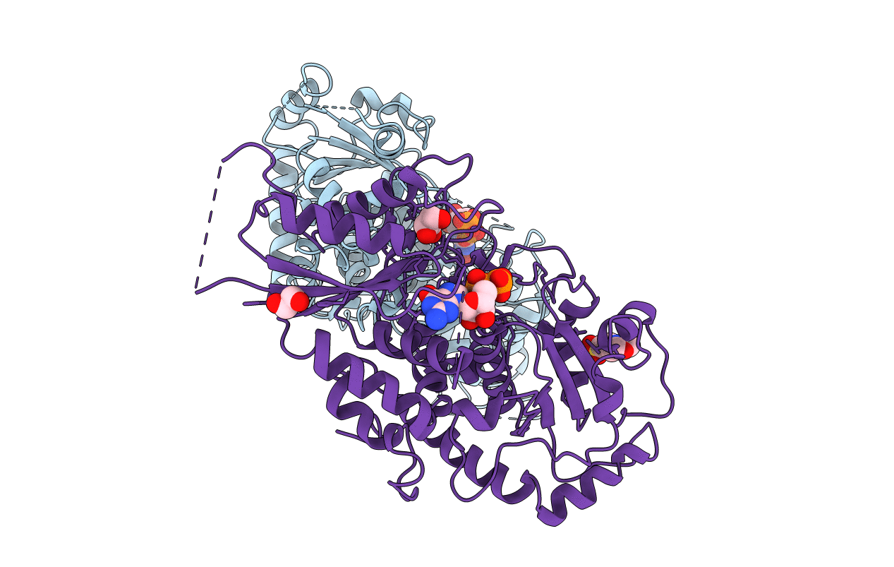 5KX6 image