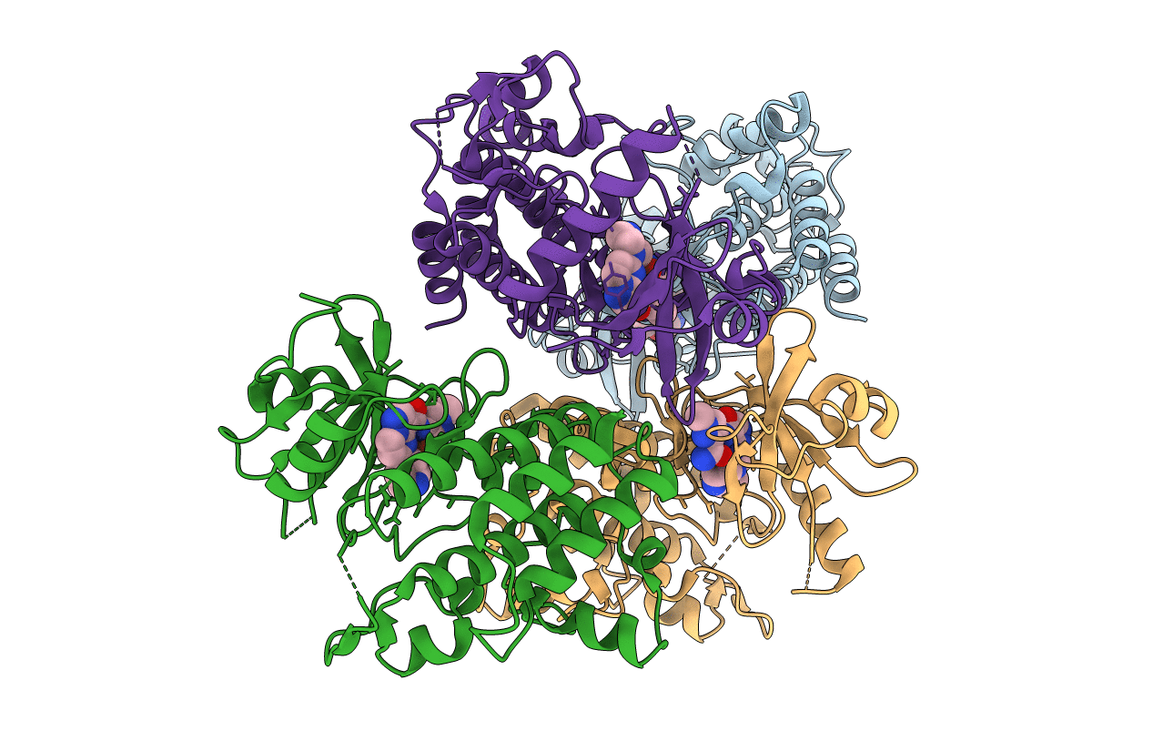 5KX8 image