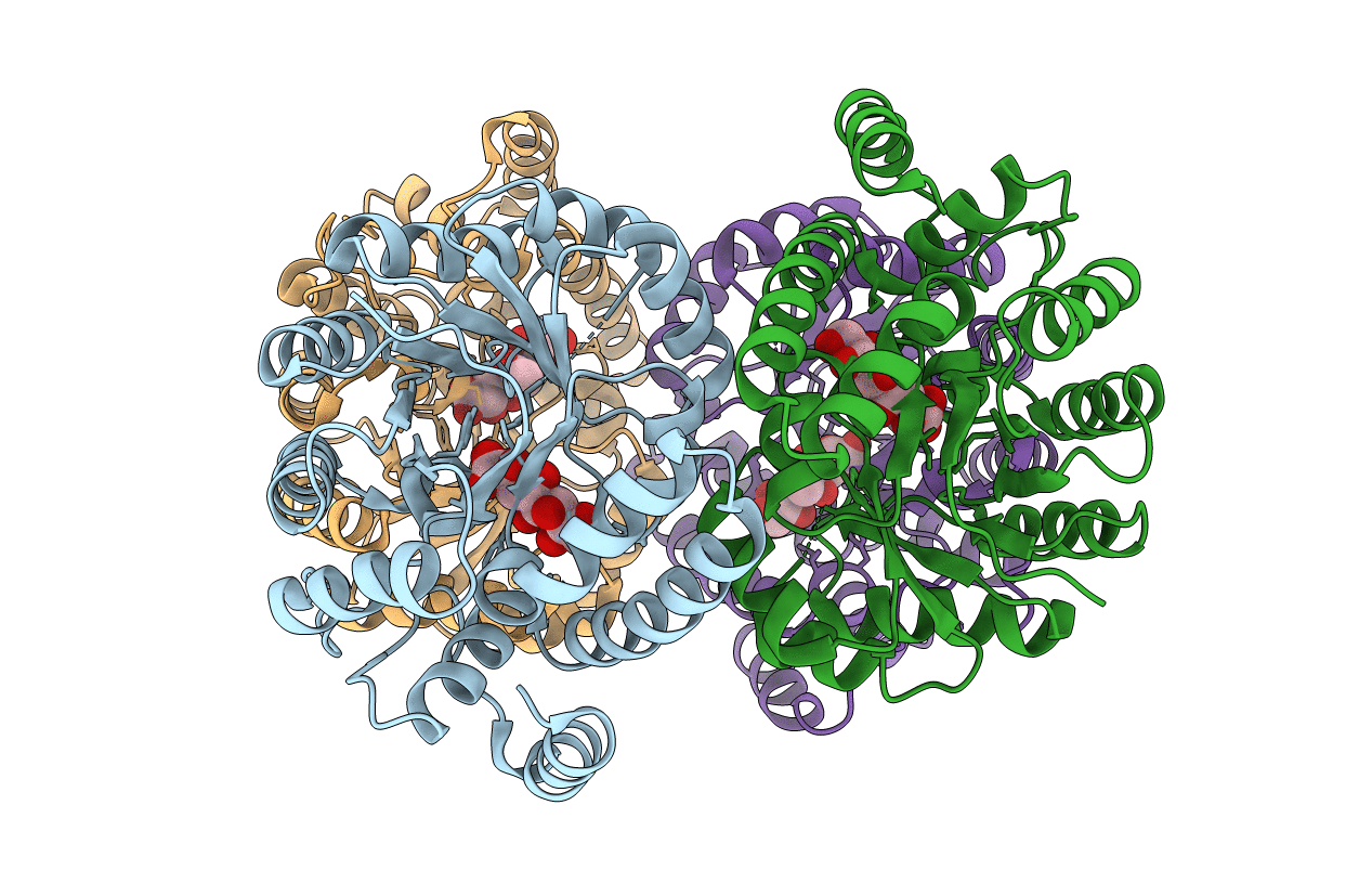 5KZD image