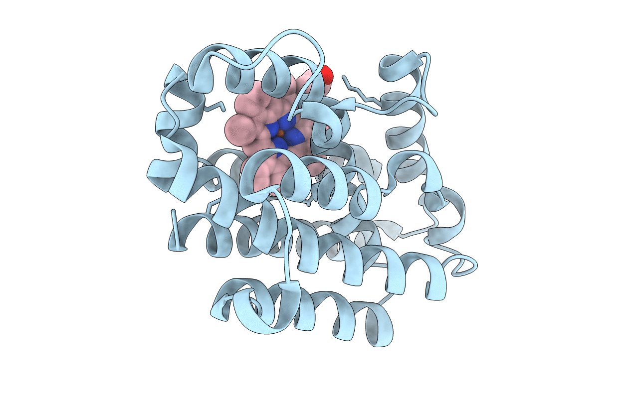 5KZL image