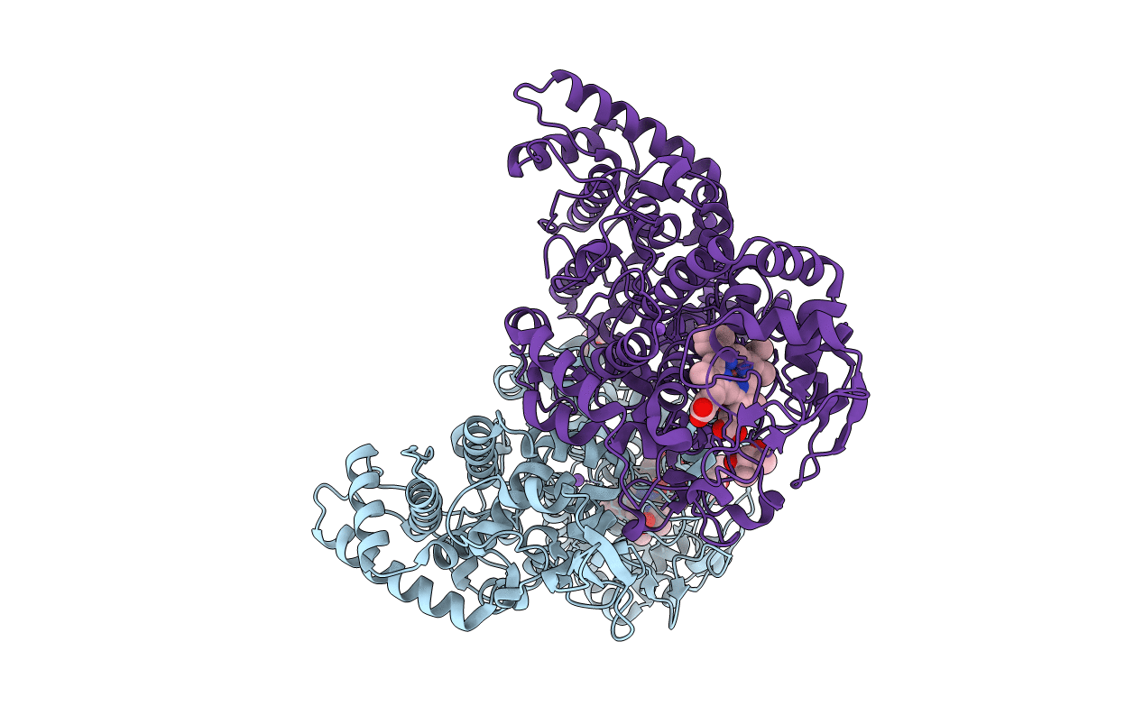 5L05 image