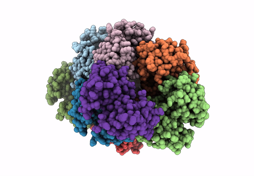 5L08 image