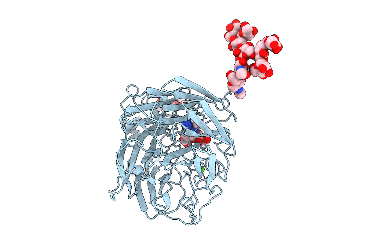 5L17 image