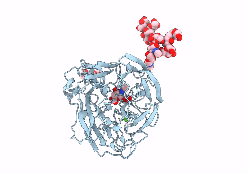 5L18 image