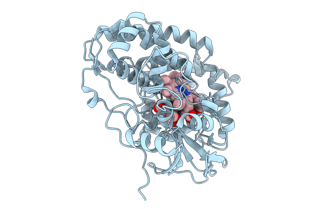 5L1U image