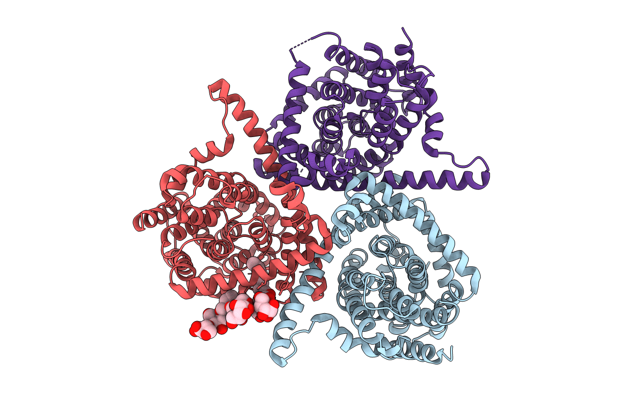 5L24 image