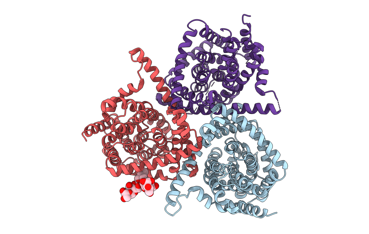5L27 image