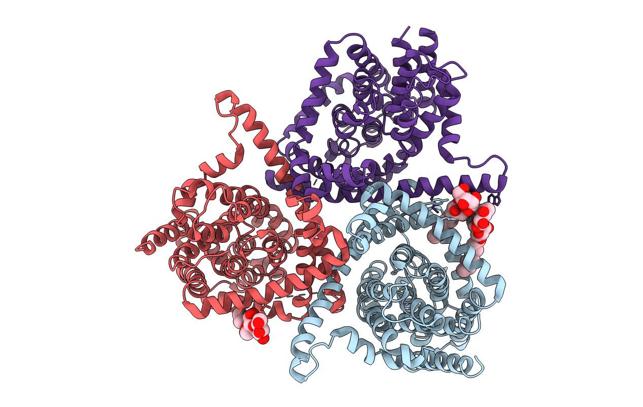 5L2B image
