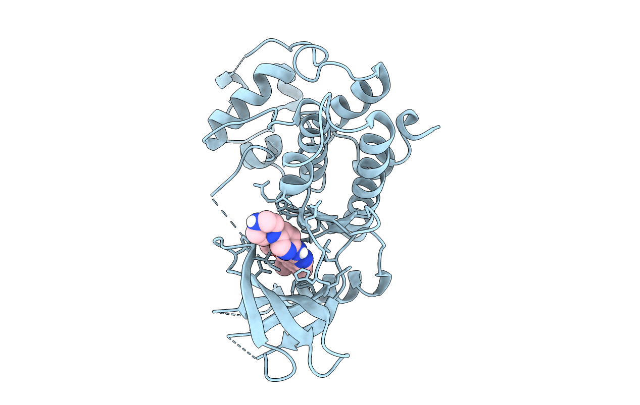 5L2I image