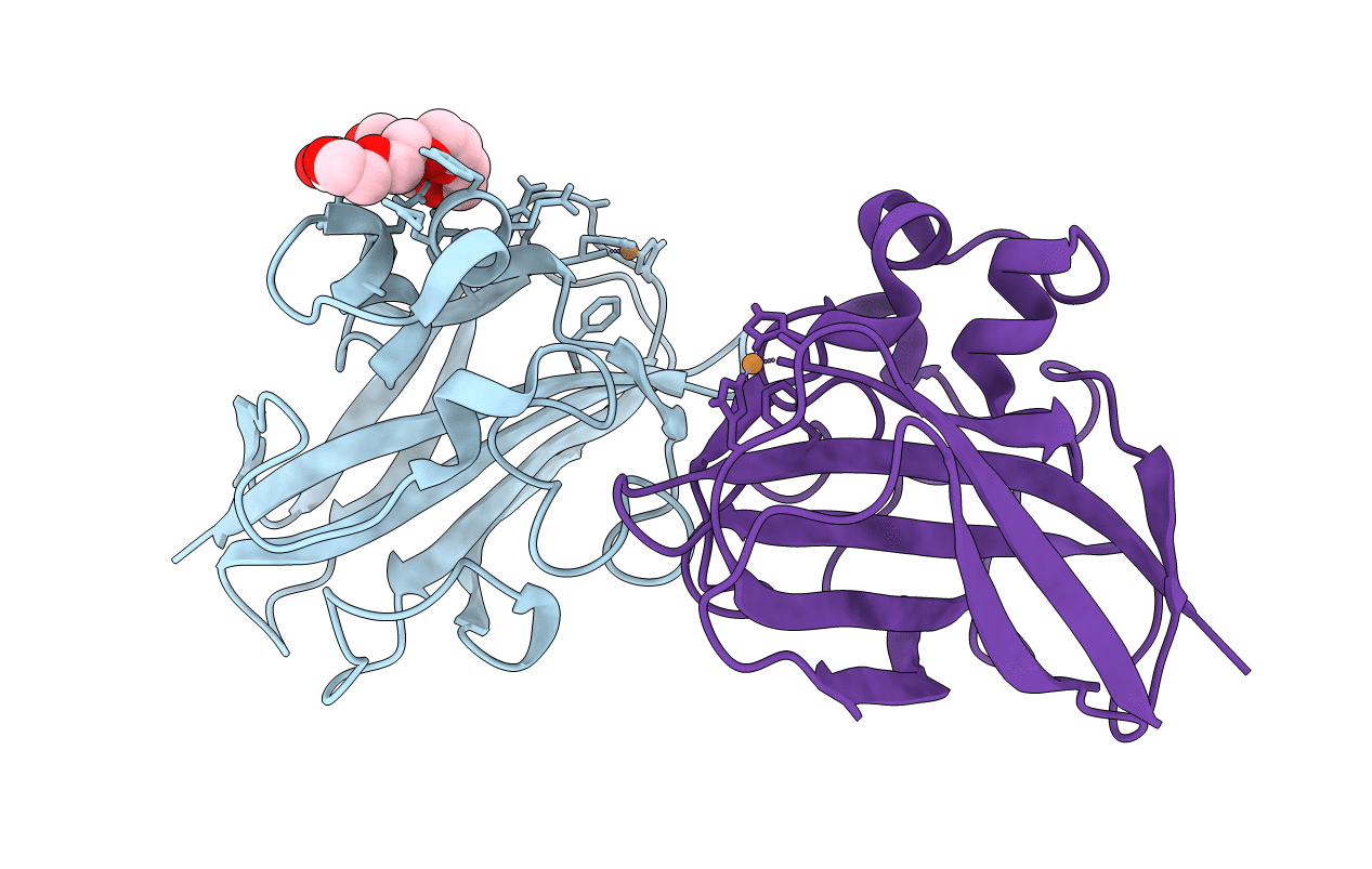 5L2V image