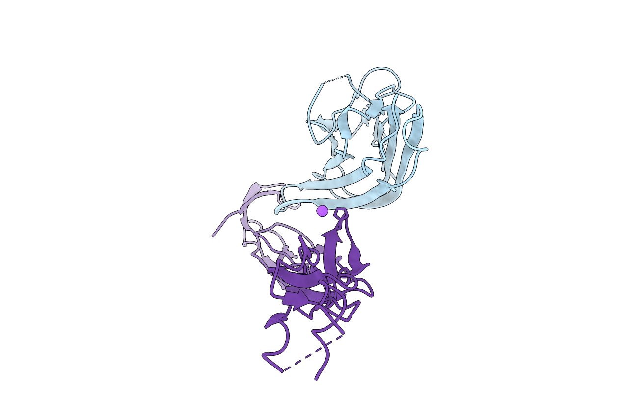 5L36 image