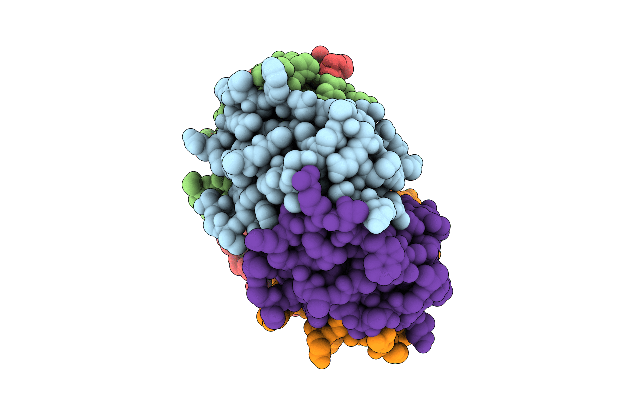 5L37 image