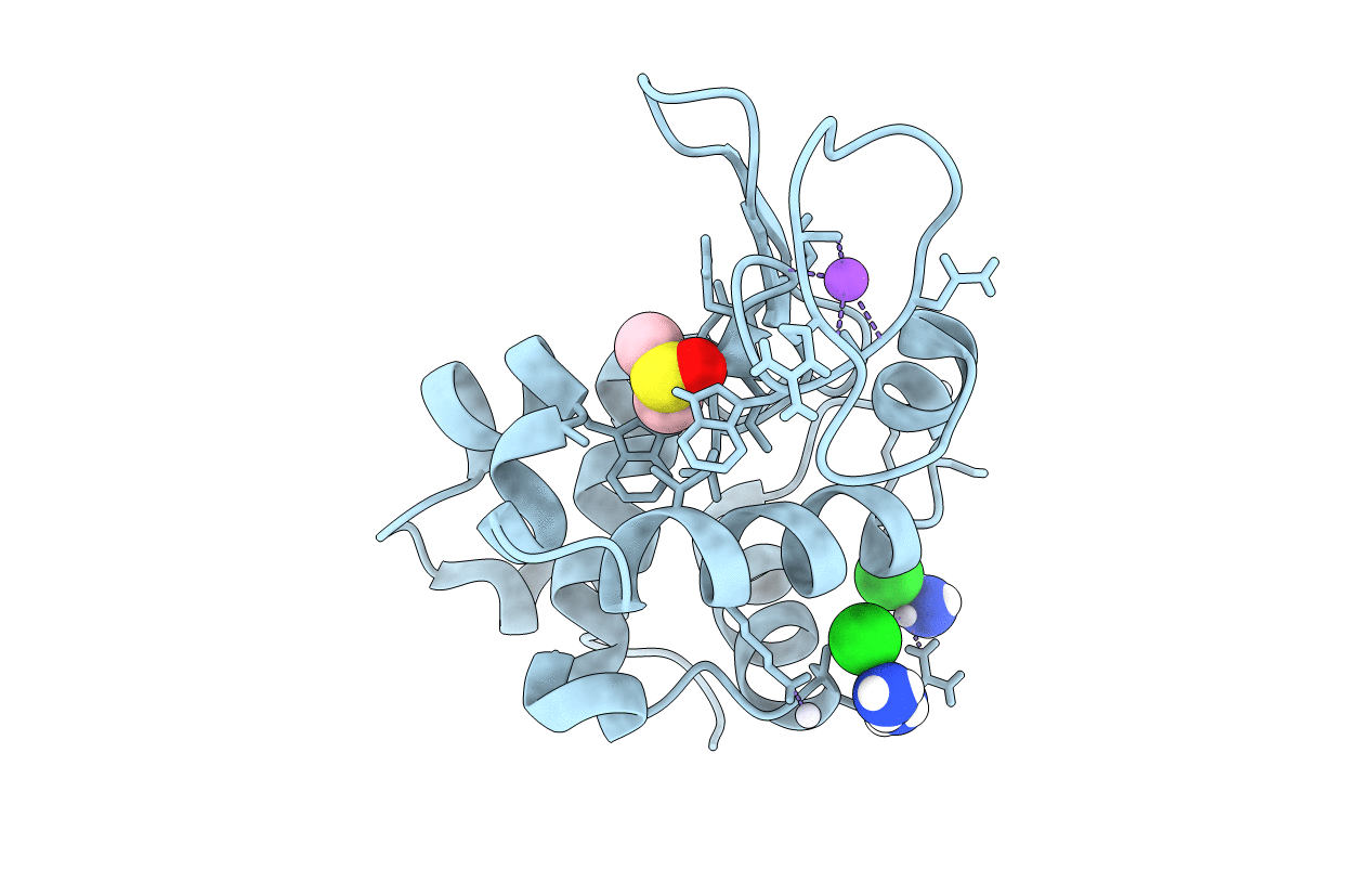 5L3H image