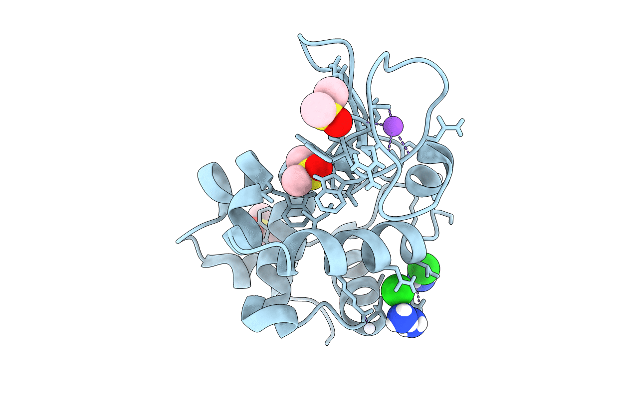 5L3I image