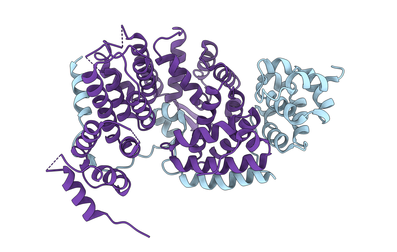 5L3X image