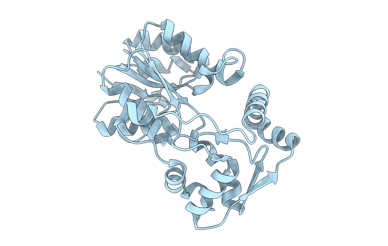 5L40 image