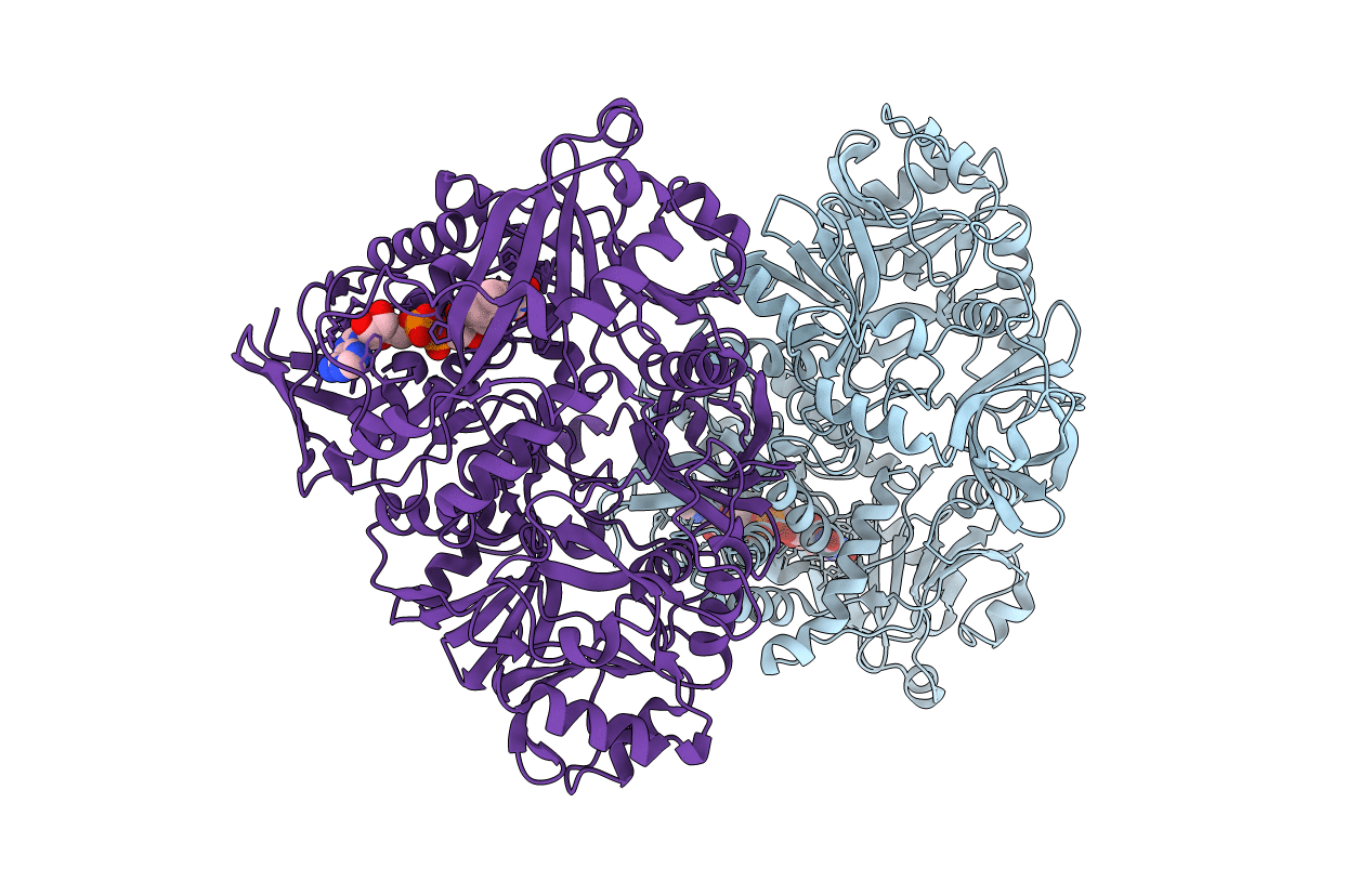 5L46 image