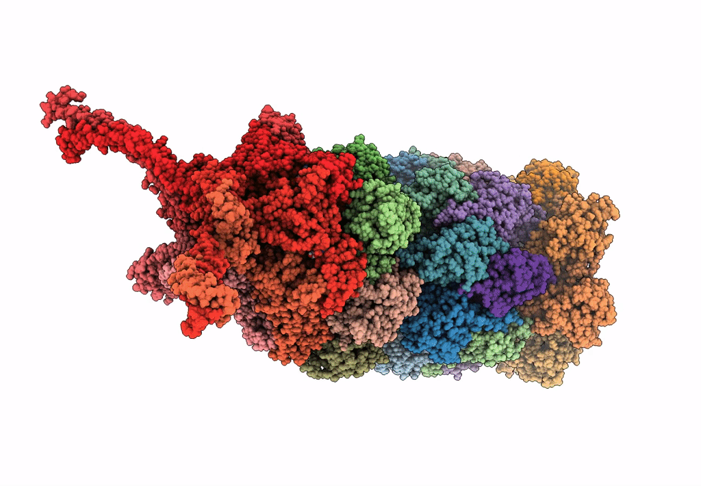 5L4G image