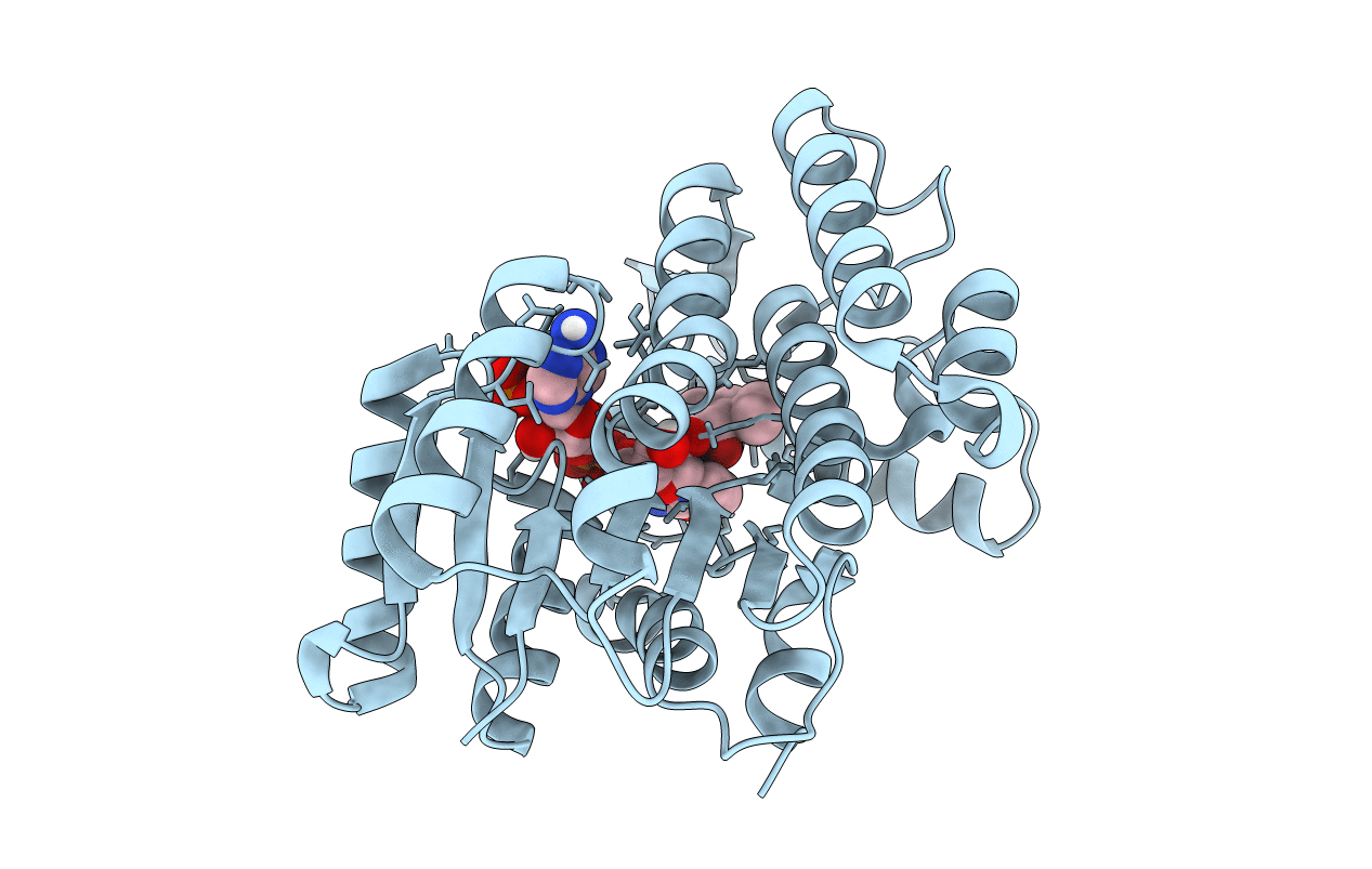 5L4S image
