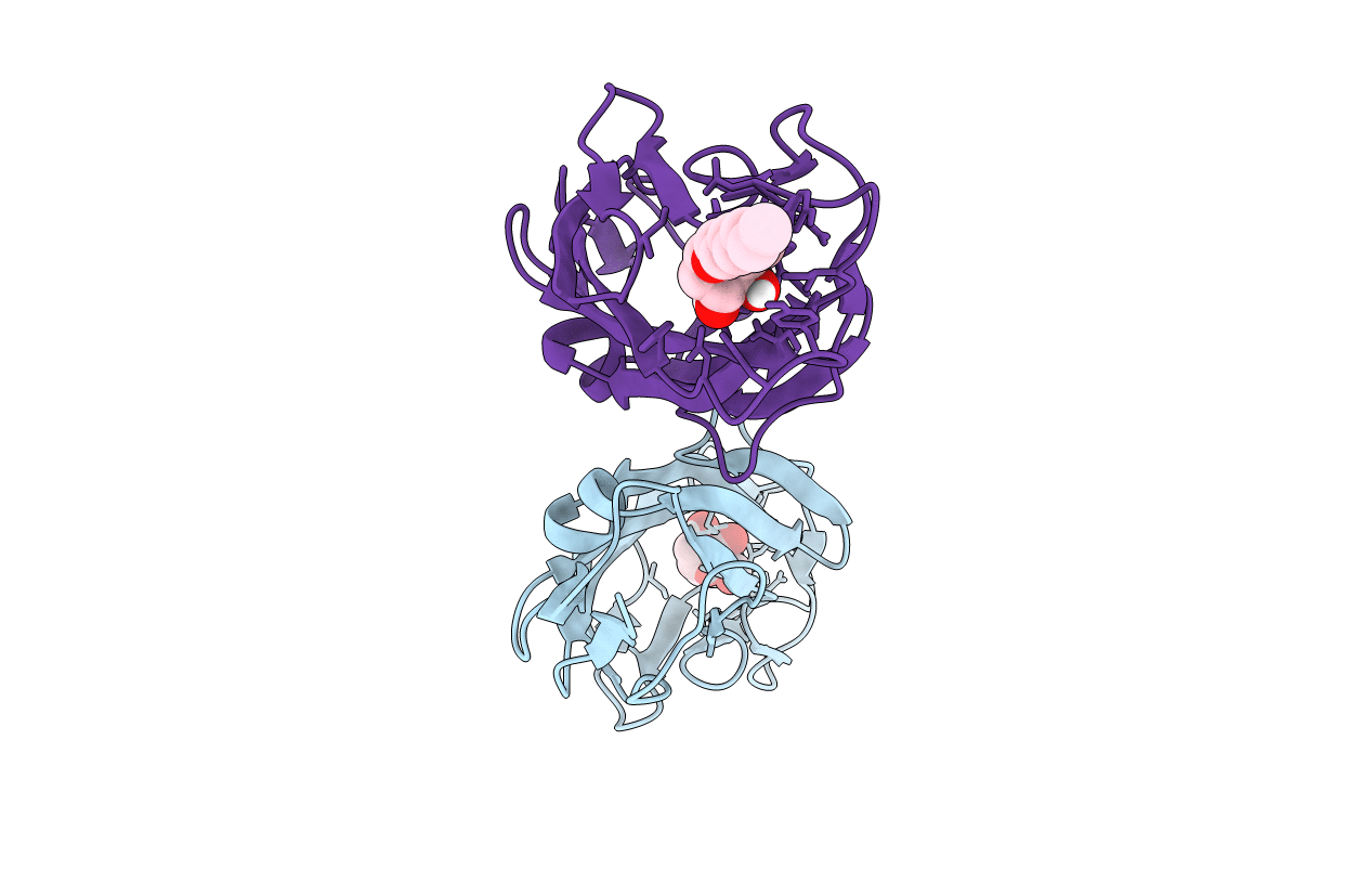 5L4T image