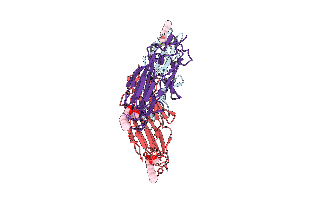 5L4W image