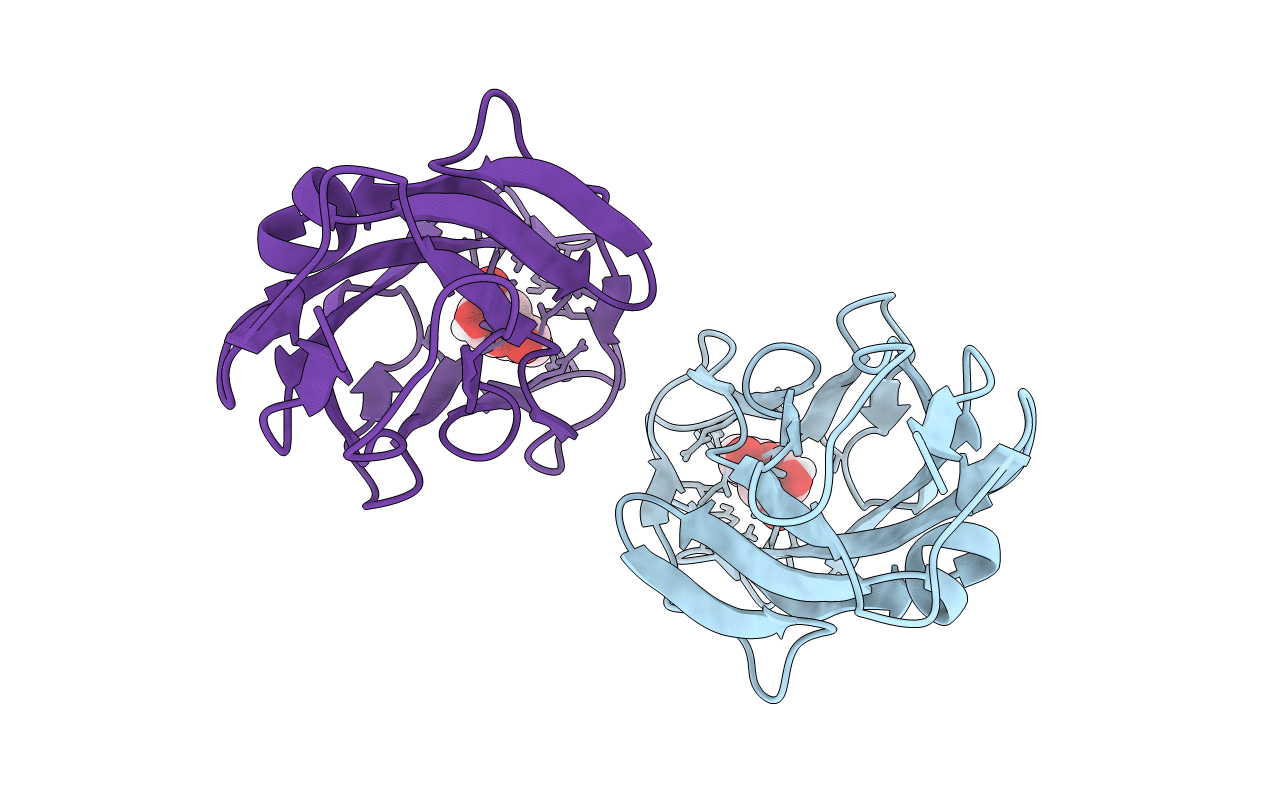 5L4X image