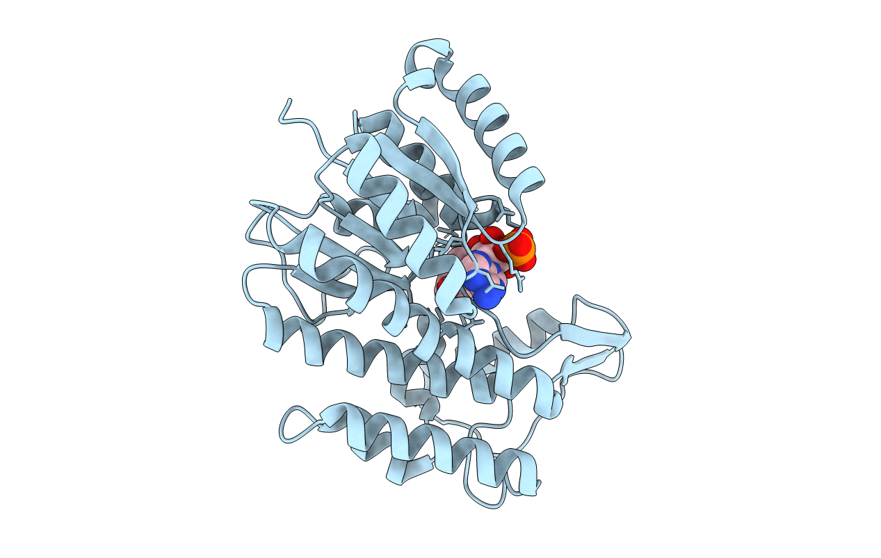 5L53 image