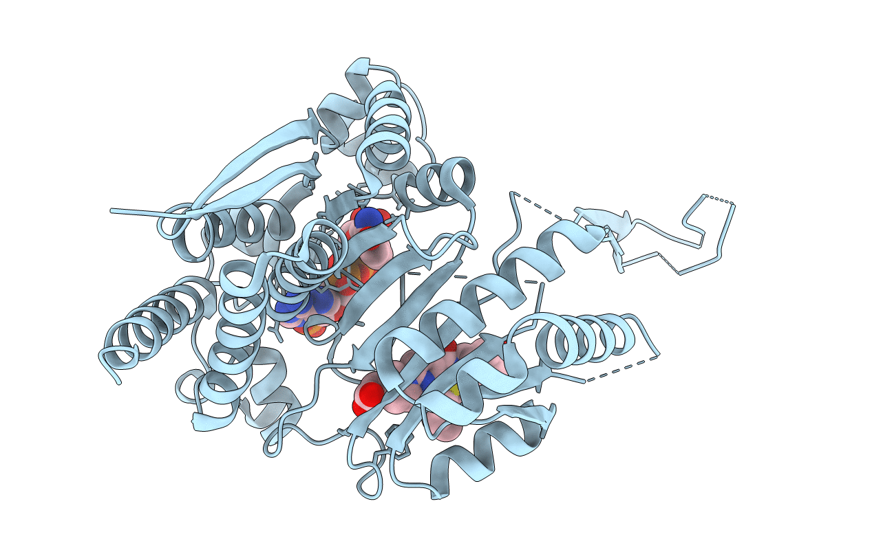 5L58 image