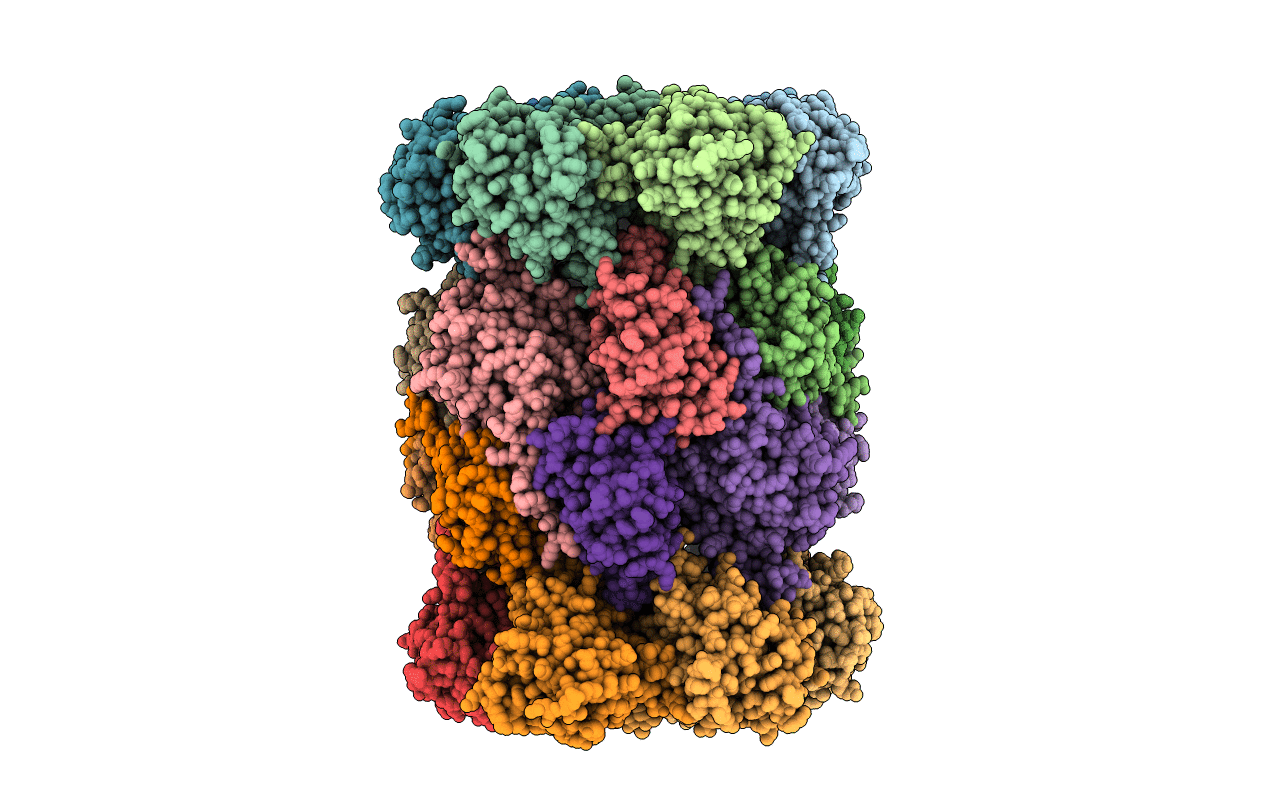 5L5S image