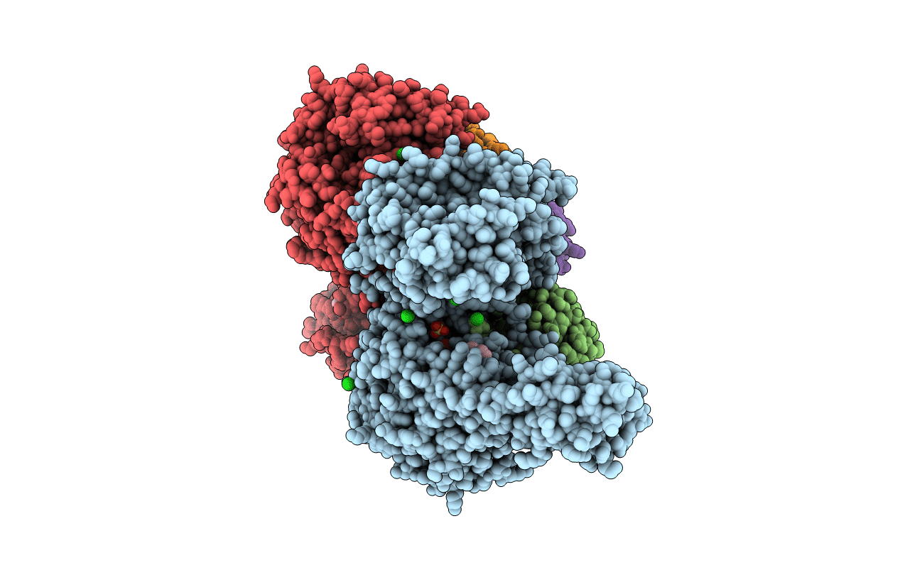 5L6I image