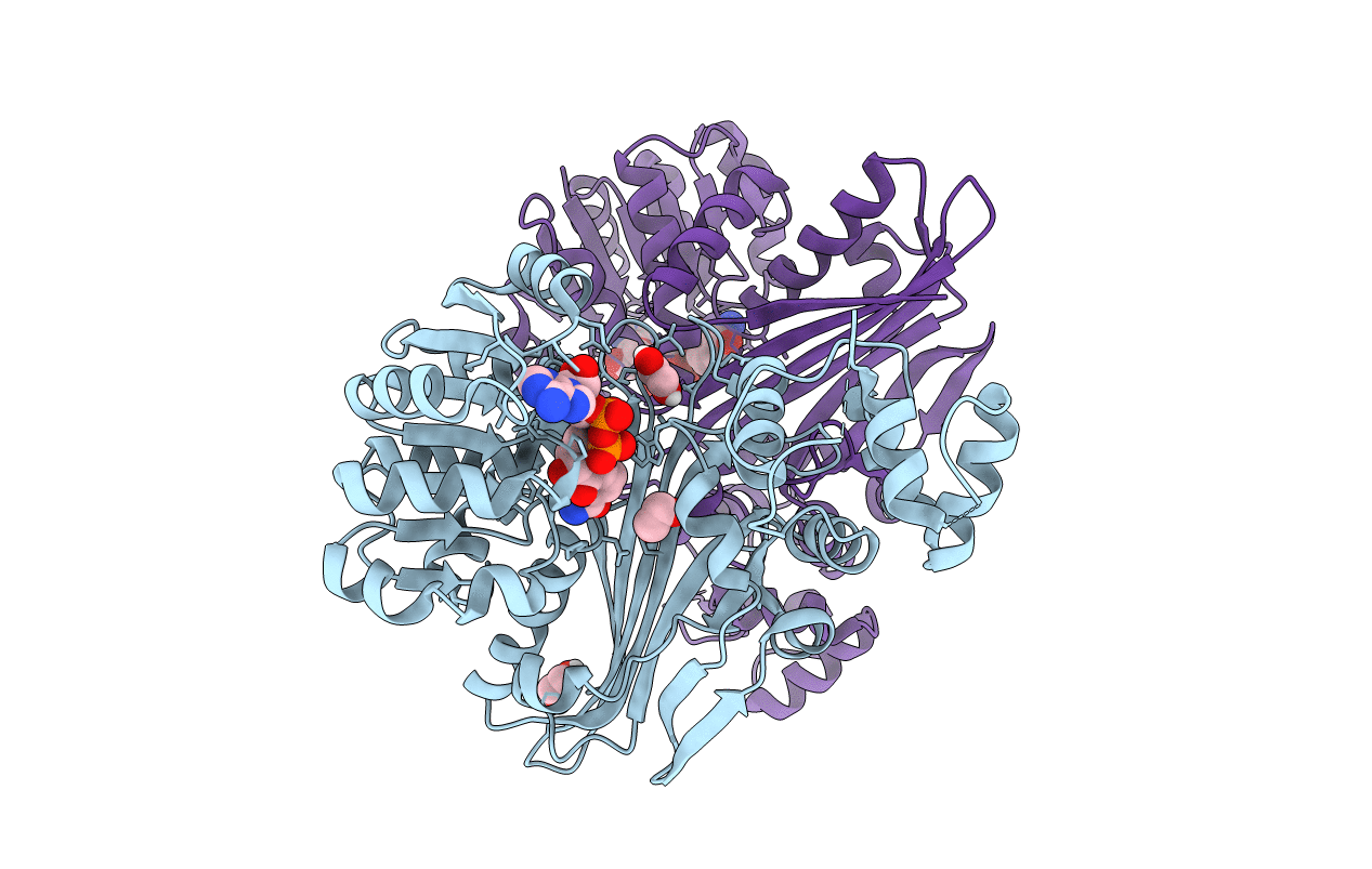 5L78 image