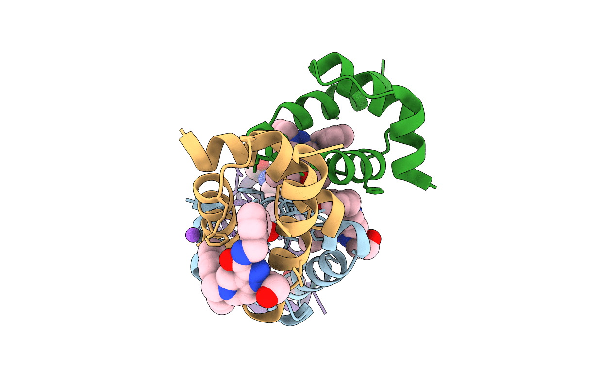 5L8A image