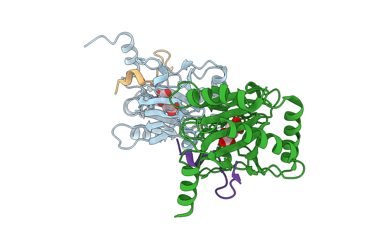 5L9B image