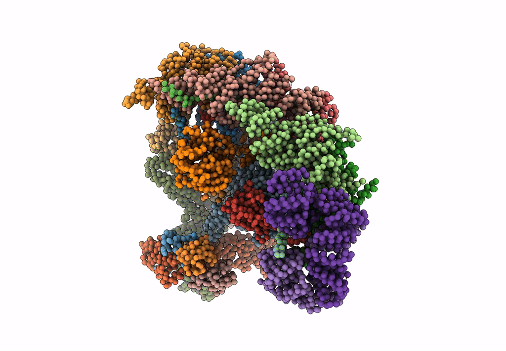 5L9T image