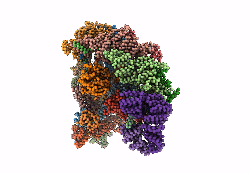 5L9U image