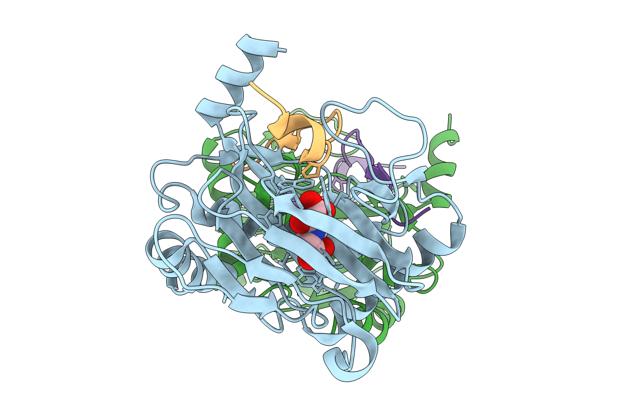 5L9V image