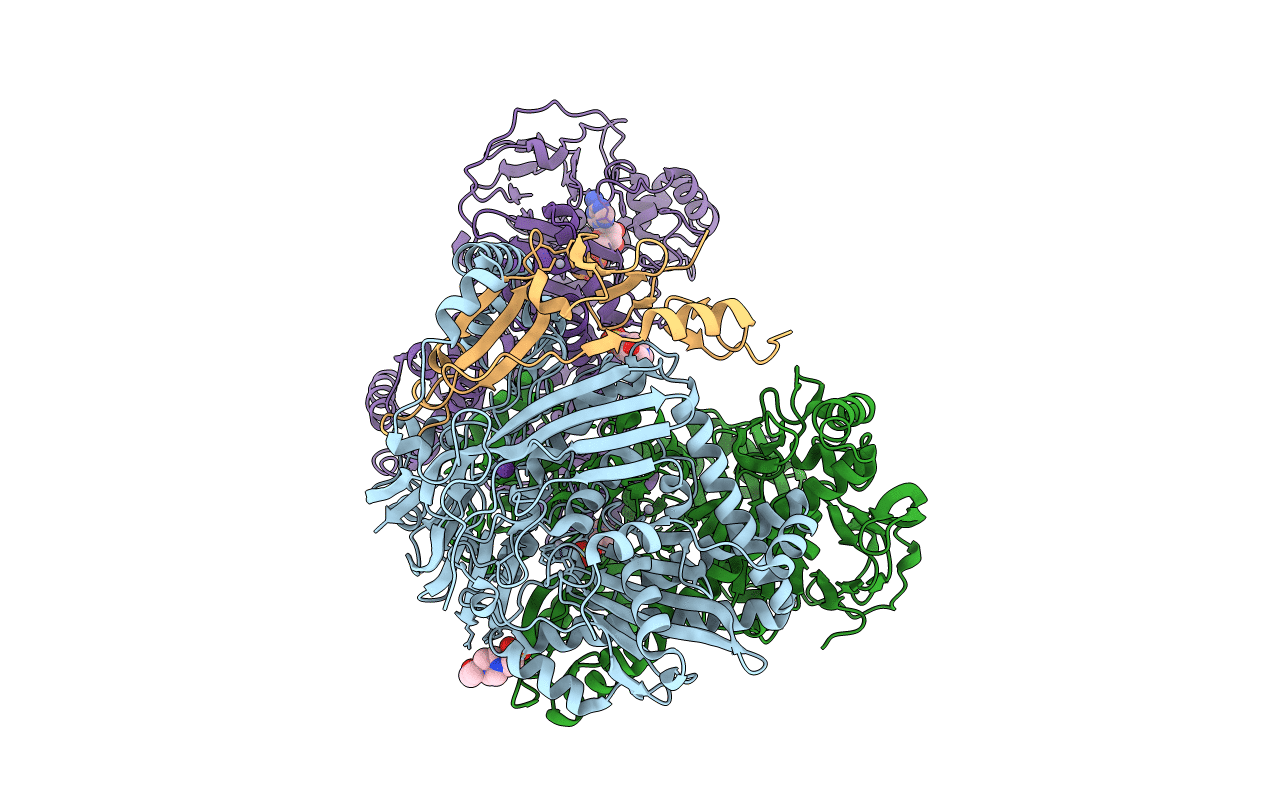 5L9W image