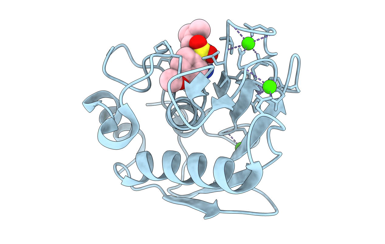 5LAB image