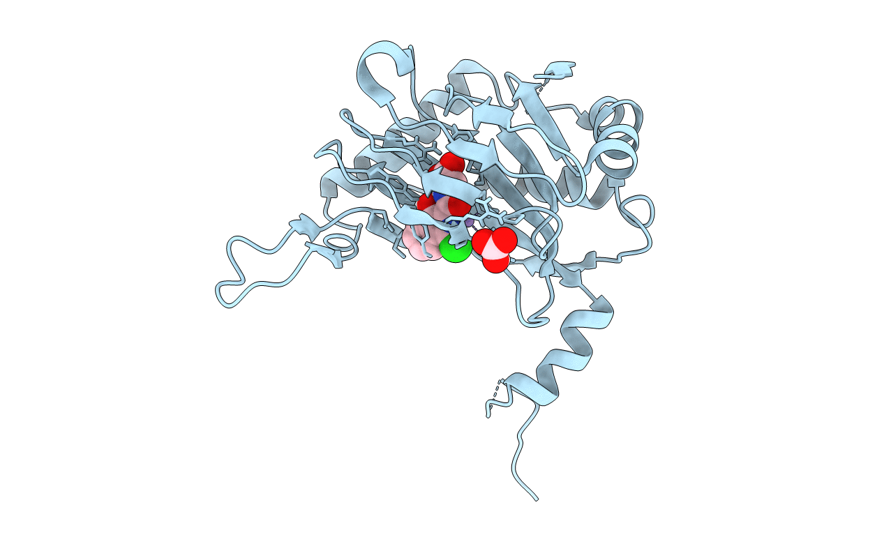 5LBB image