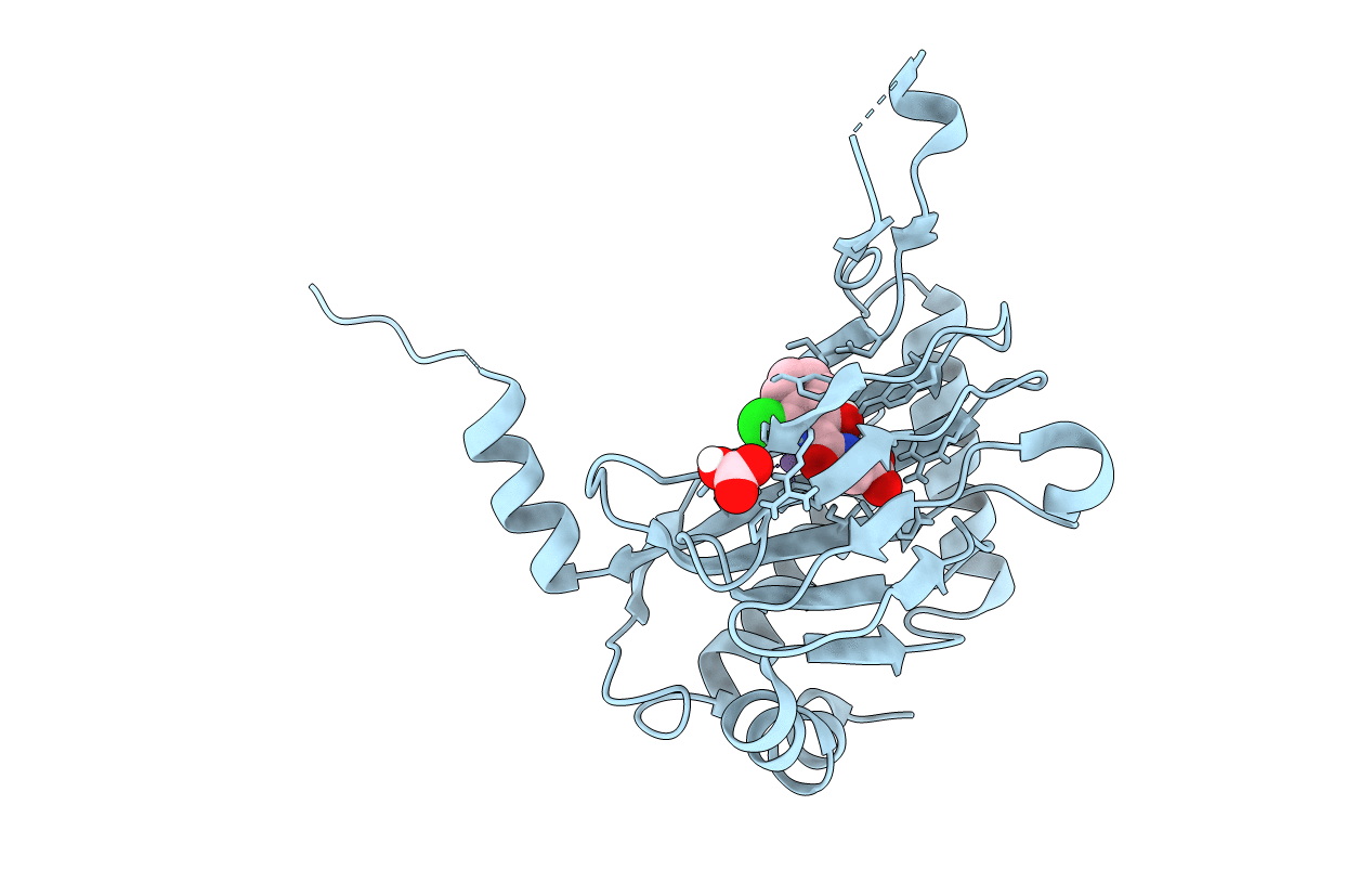 5LBE image