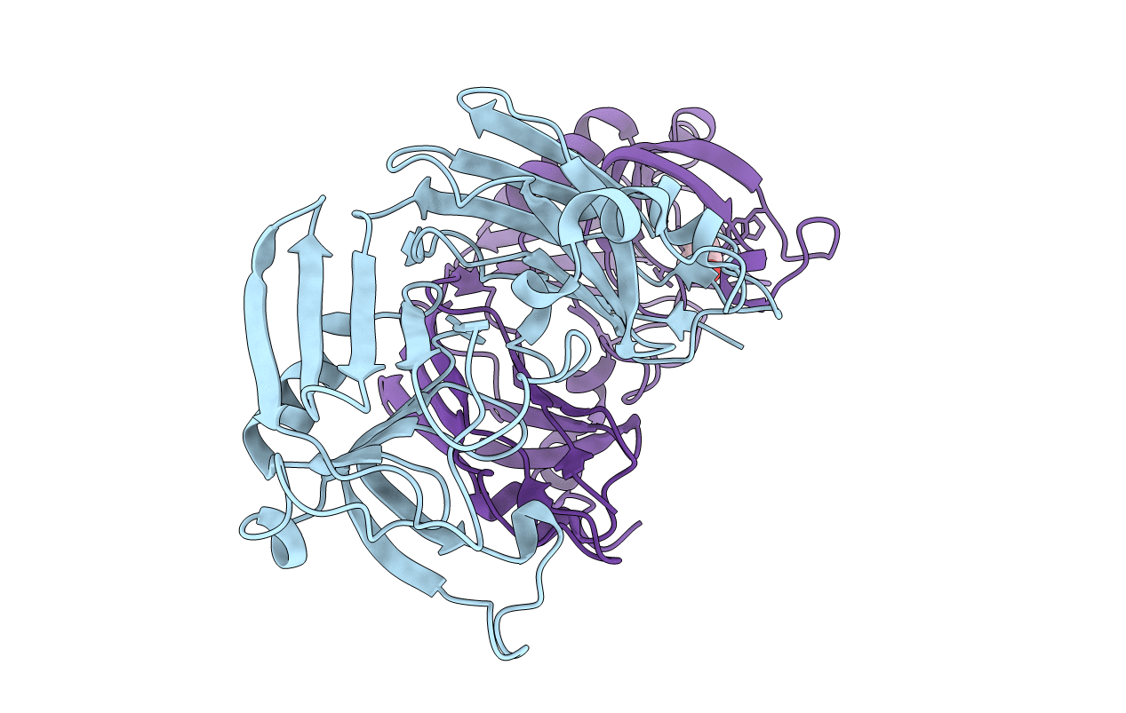 5LBG image