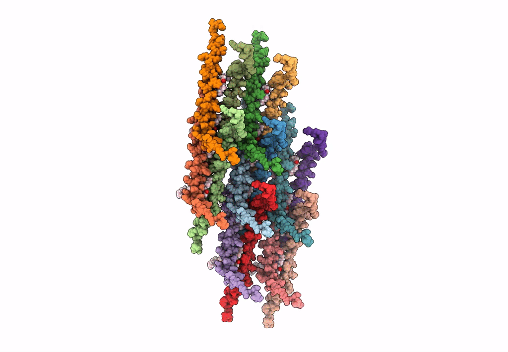 5LCB image