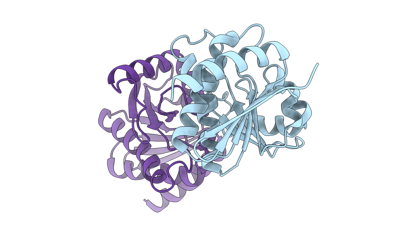 5LCC image