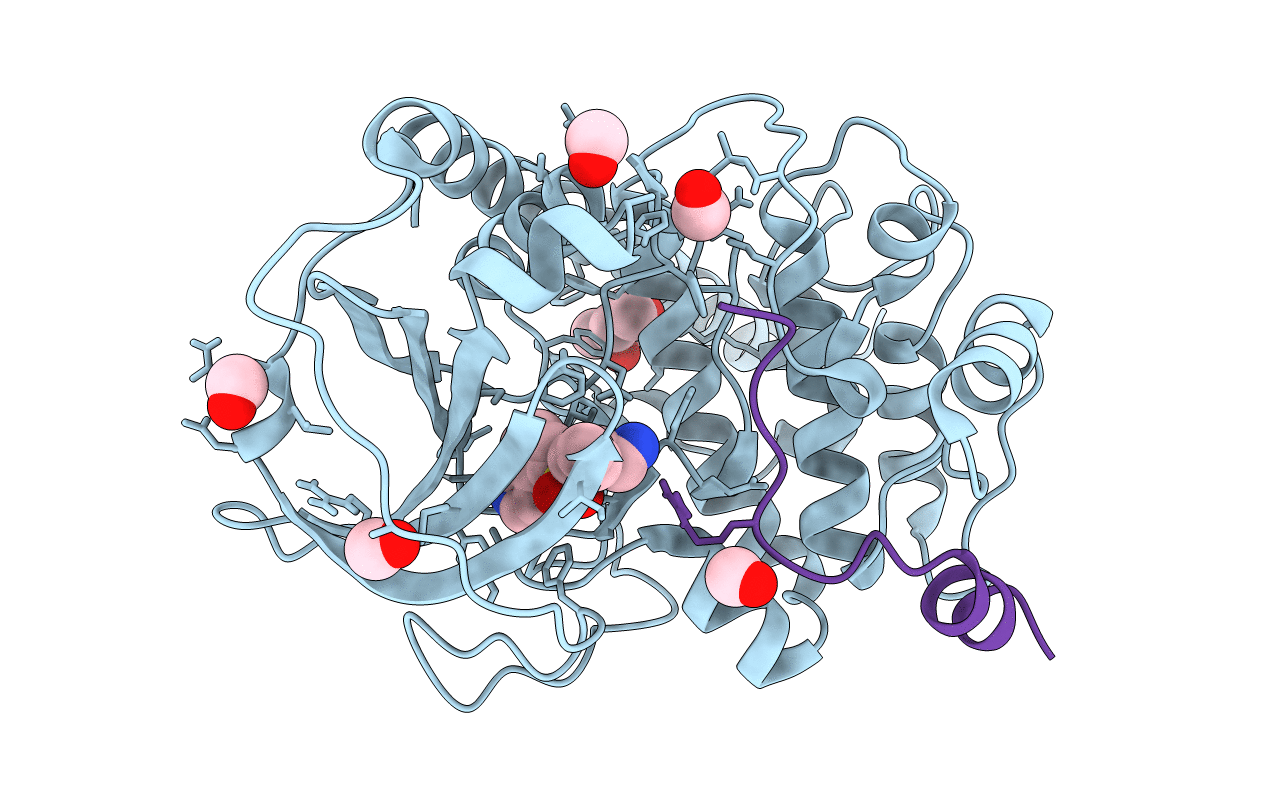 5LCR image